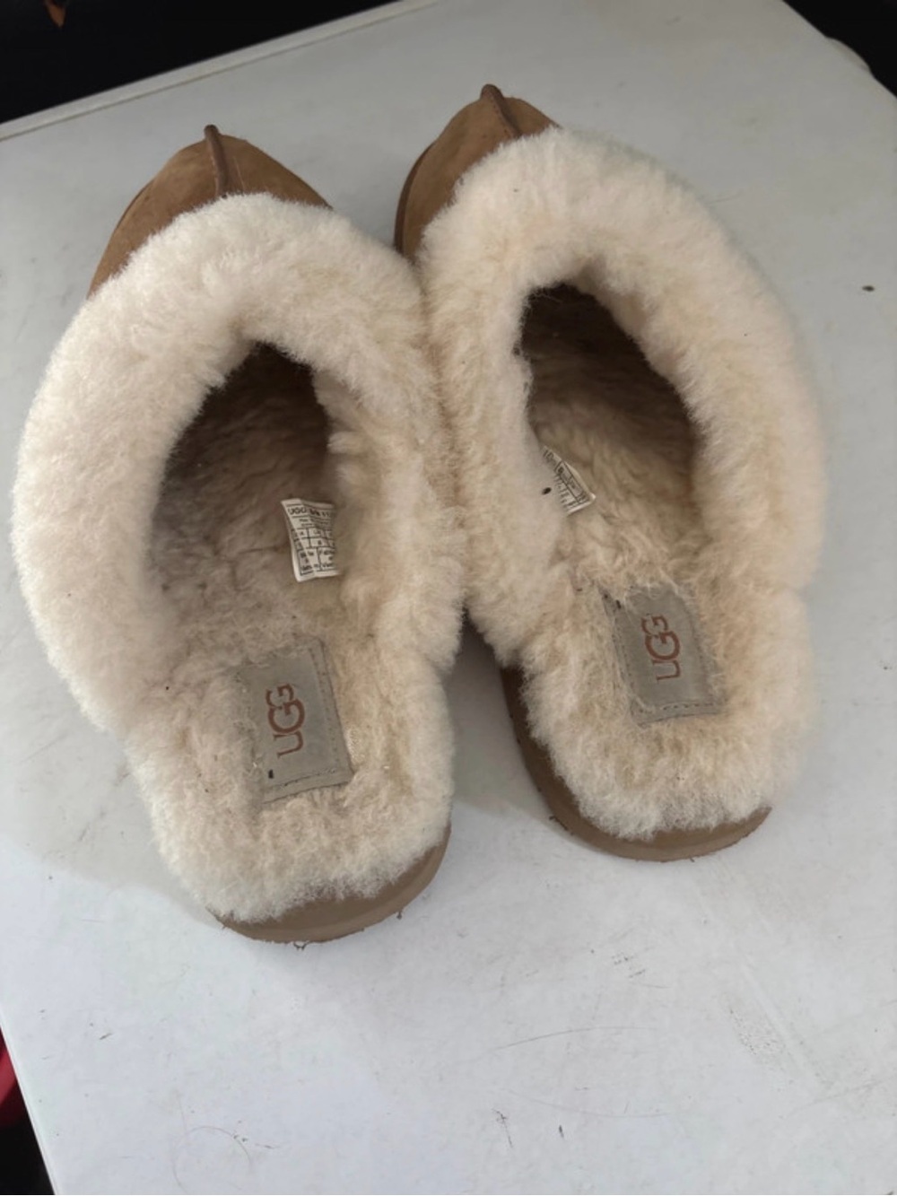 Ugg clogs